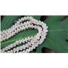 Image 8 : Niihau Shell Lei - 3 Strands, 45 3/4" Momi Ke'oke'o (White "Dove Shells" w/Red Lips)