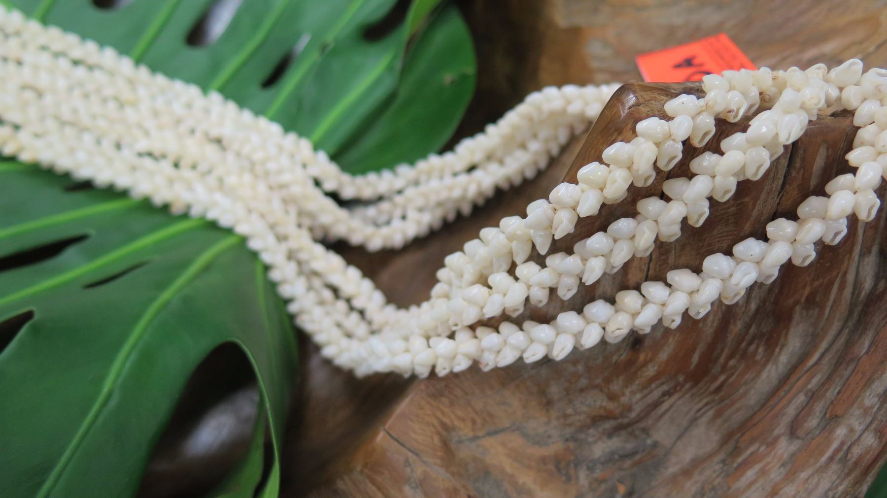 Niihau Shell Lei - 3 Strands, 38