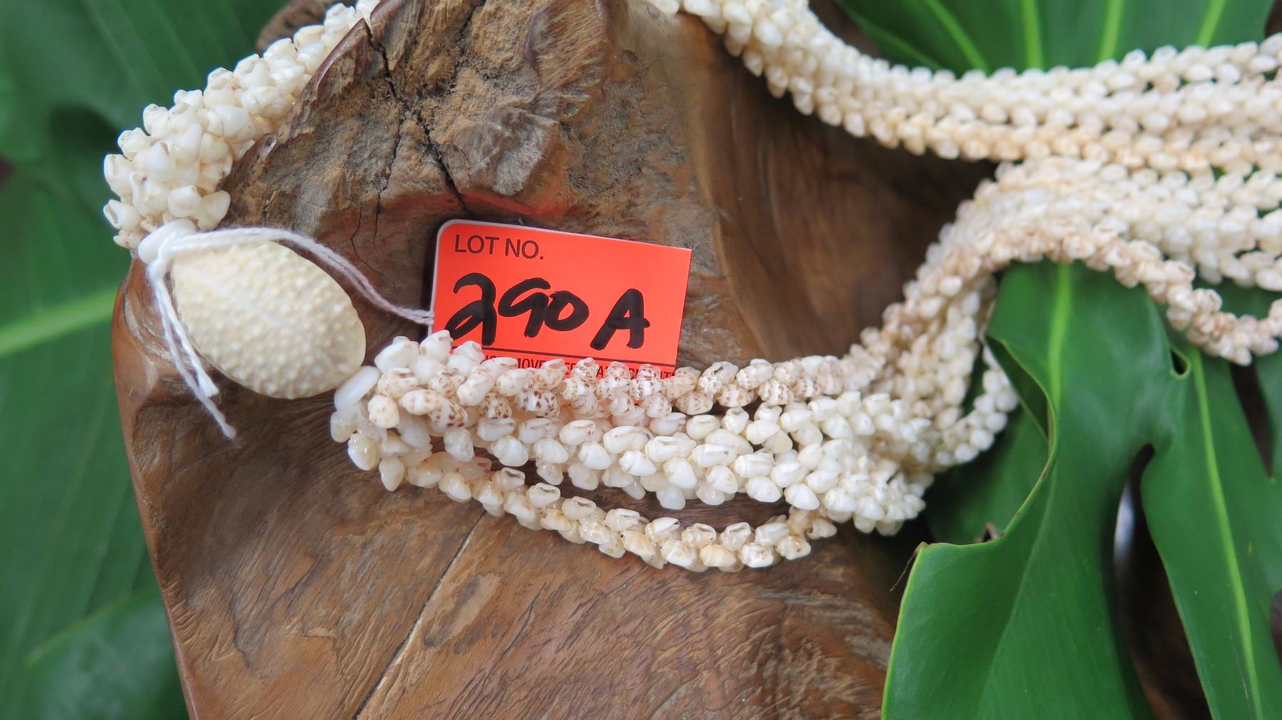 Niihau Shell Lei - 5 Strands, 49