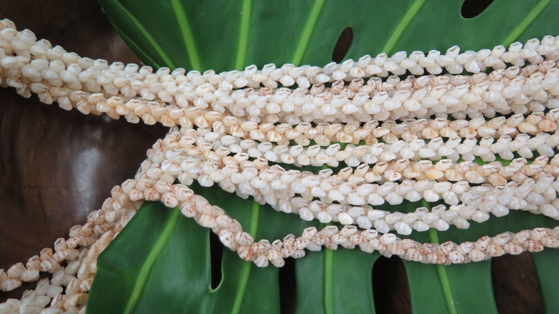 Niihau Shell Lei - 5 Strands, 49