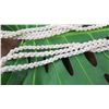 Image 5 : Niihau Shell Lei - 3 Strands, 45" Momi Uli Uli (Rare Silver-Grey/Blue "Dove Shells")