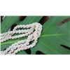 Image 7 : Niihau Shell Lei - 3 Strands, 45" Momi Uli Uli (Rare Silver-Grey/Blue "Dove Shells")