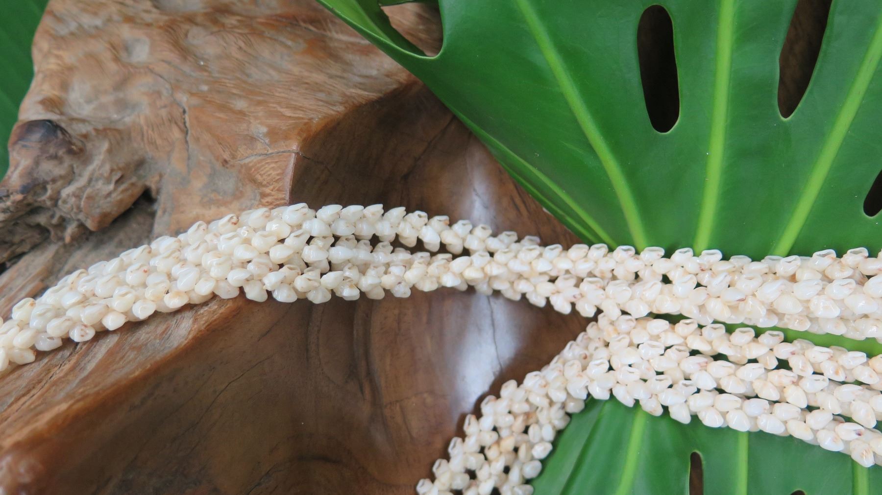 Niihau Shell Lei - 3 Strands, 40