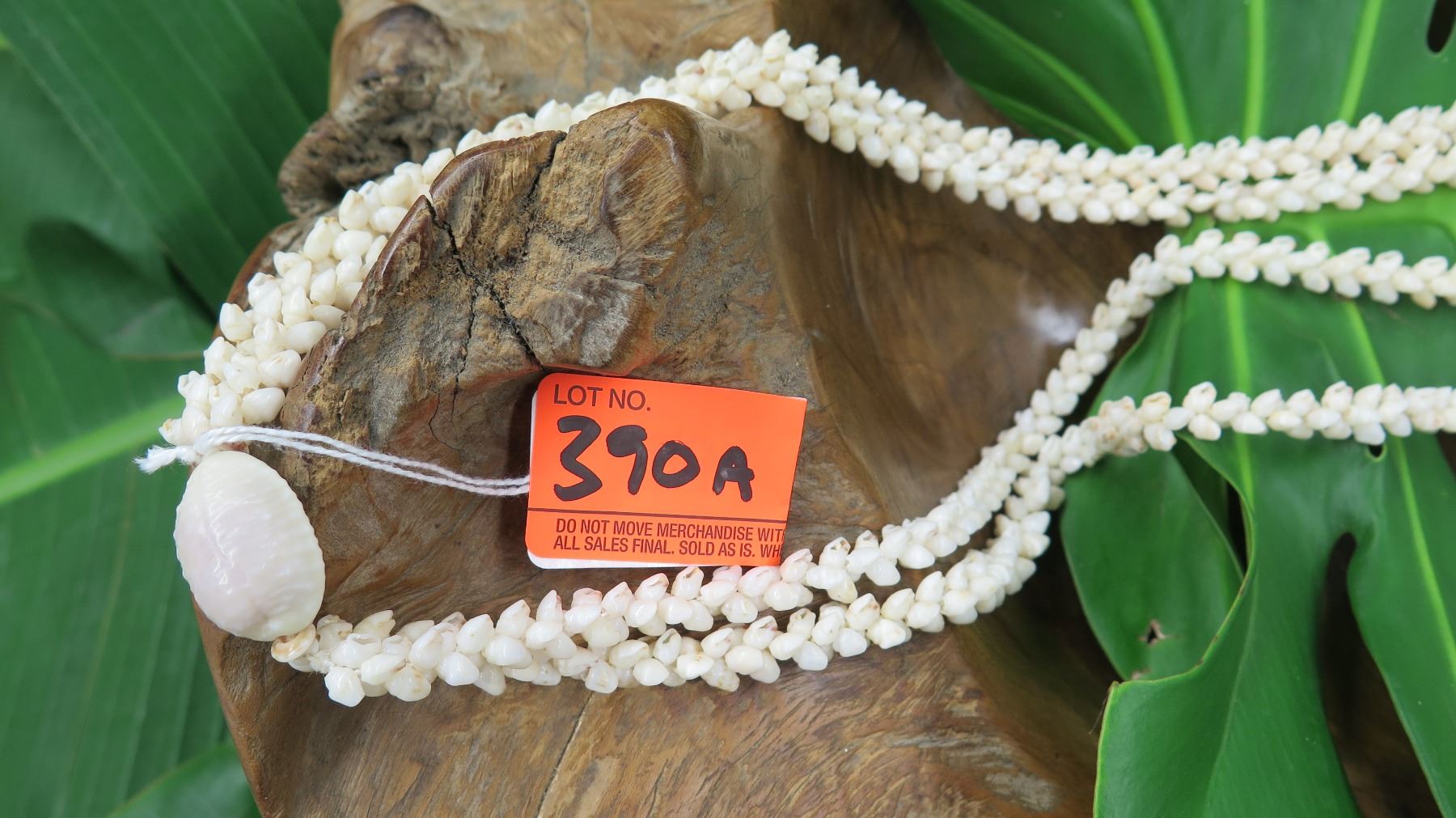 Niihau Shell Lei - 2 Strands, 61
