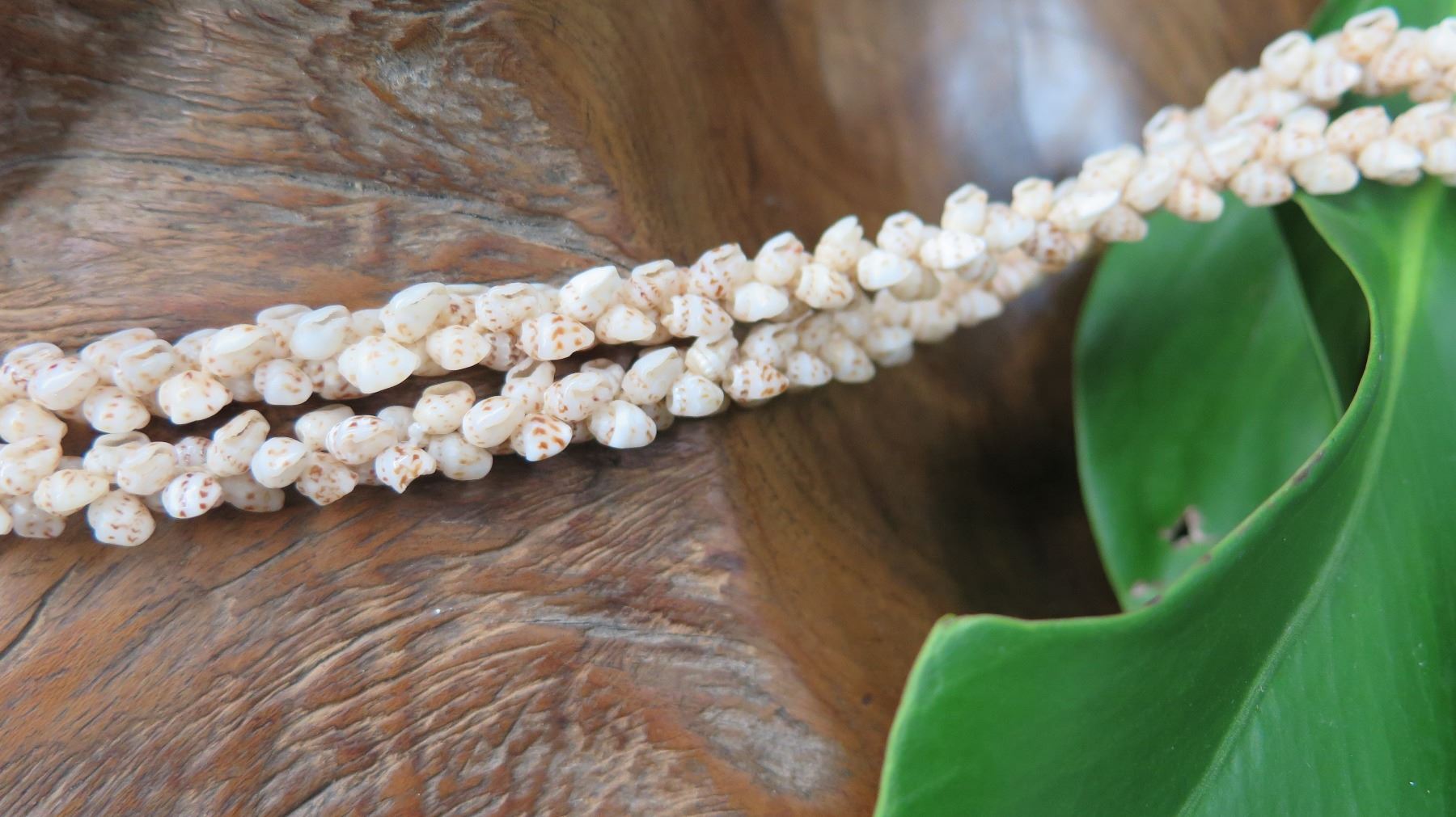 Niihau Shell Lei - 2 Strands, 39