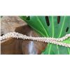 Image 8 : Niihau Shell Lei - 2 Strands, 39" Momi Onikiniki (Spotted "Dove Shells"), Pikake Lei Style