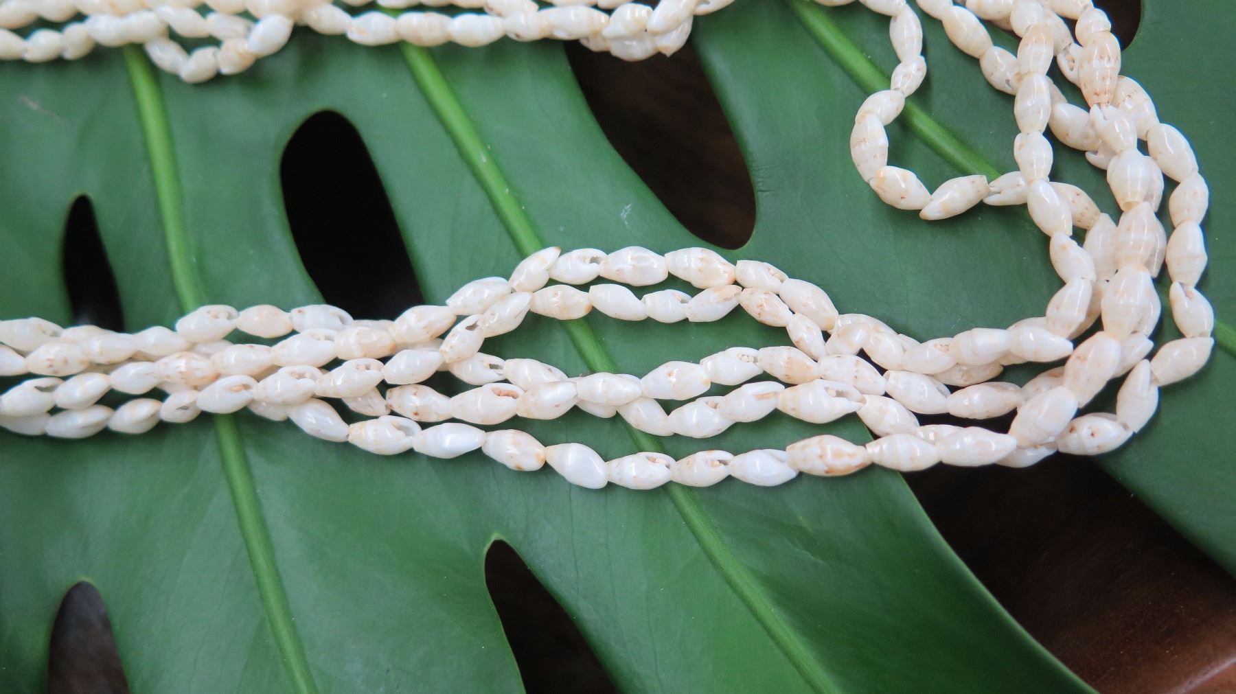 Niihau Shell Lei - 5 Strands, 37