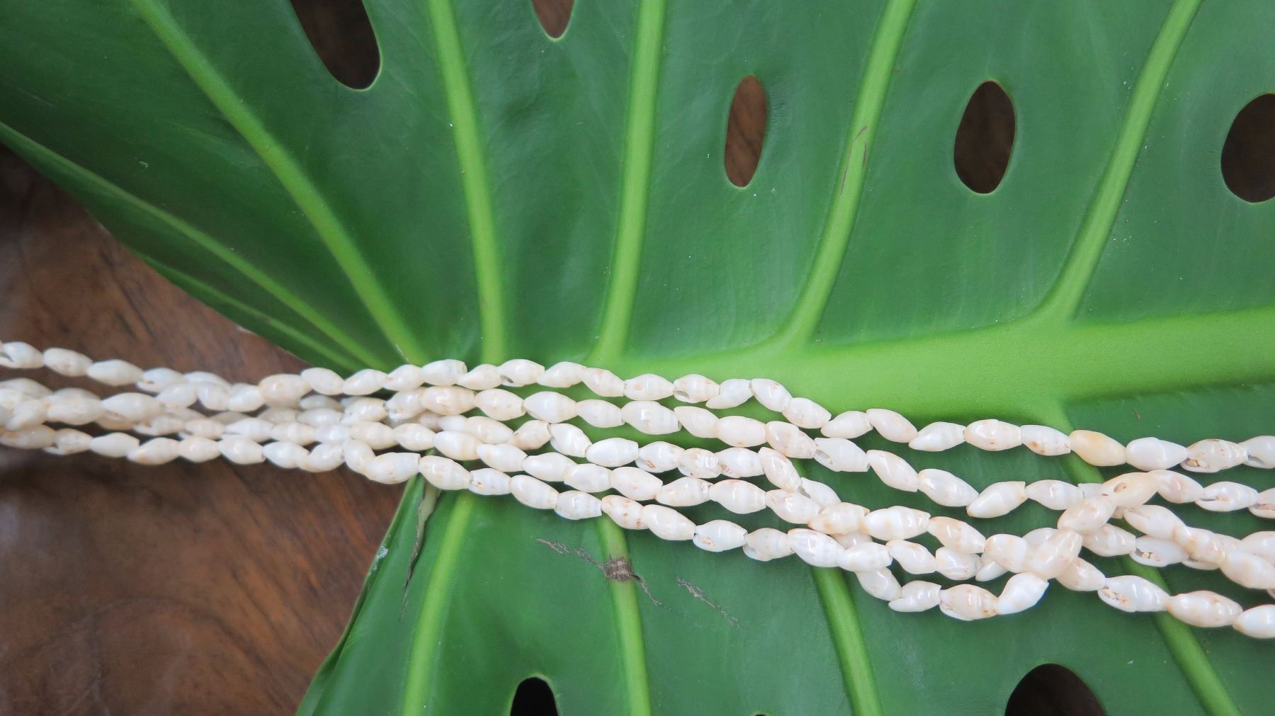 Niihau Shell Lei - 5 Strands, 37