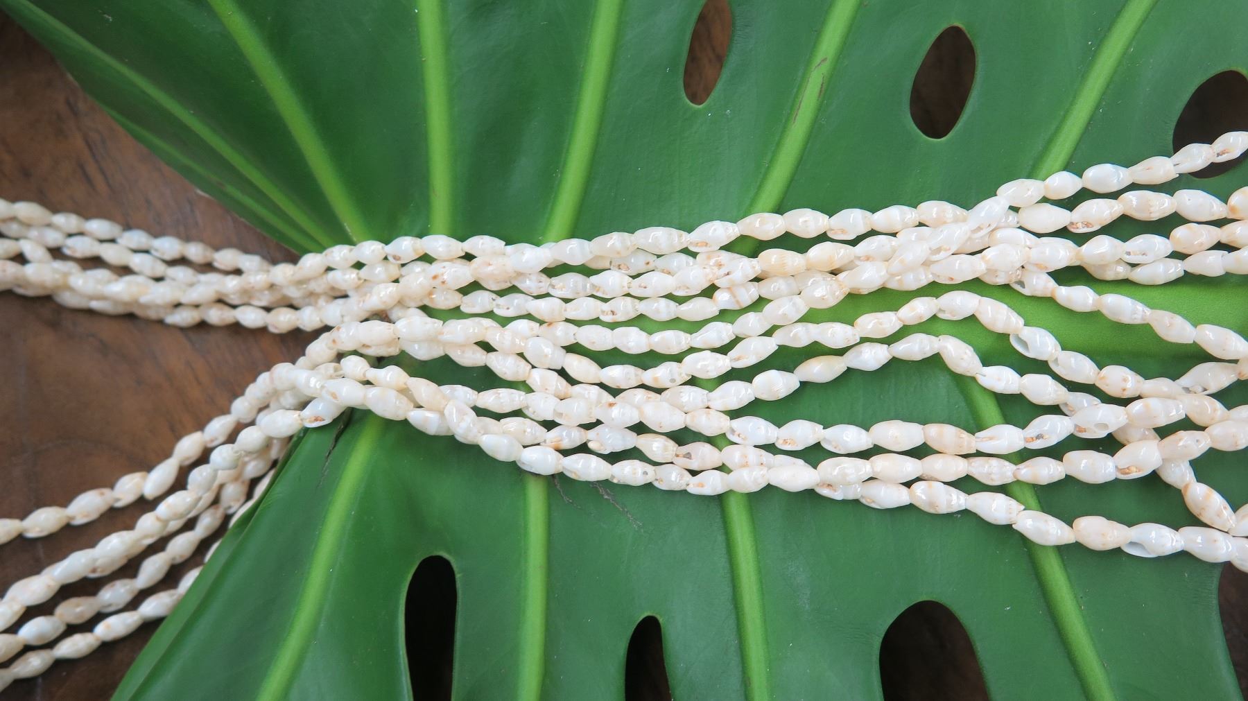 Niihau Shell Lei - 5-Strand, 37