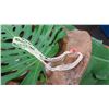 Image 8 : Niihau Shell Lei - 5-Strand, 37" Laiki Ahiehie & Laiki Lenalena ("Rice Shells")