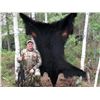 Image 3 : 7 Day Alaskan Black Bear Hunt for 4 Hunters