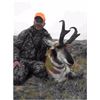 Image 1 : 3 Day Wyoming Antelope Hunt