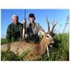 Image 1 : 3 Day Roe Deer Hunt in Serbia for 2 Hunters