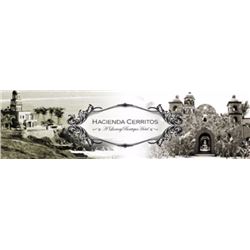 6 Night 7 Day in a Deluxe One Bedroom Suite at Hacienda Cerritos, Mexico