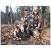 Image 1 : 3 Day Mouflon Sheep in Serbia for 2 Hunters