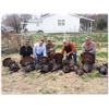 Image 1 : 2 Day Eastern Turkey Hunt for 2 Hunters