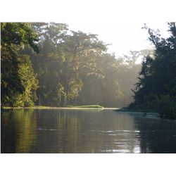 6 Day Belize Jungle Adventure For 4 Persons