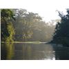 Image 1 : 6 Day Belize Jungle Adventure For 4 Persons