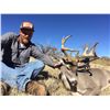 Image 1 : 5 Day Mexico Coues Whitetail Hunt  For 1 Hunter
