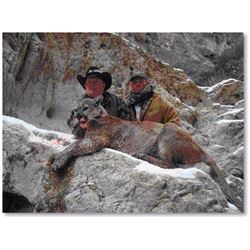 5 Day Arizona Mt. Lion Hunt