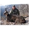 Image 1 : 3 Day Serbia Carpathian/Balkan Chamois  for 2 Hunters