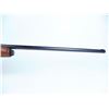 Image 3 : Well used pump gun
