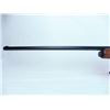 Image 8 : Well used pump gun