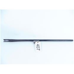 Extra barrel for Beretta 391