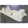 Image 1 : CALF SKIN