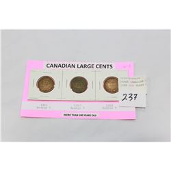 THREE CANADIAN LARGE CENTS OVER 100 YEARS OLD