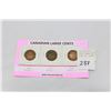 Image 1 : THREE CANADIAN LARGE CENTS OVER 100 YEARS OLD