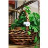 Image 1 : HAND WOVEN BASKET AND LOT OF WICKER BASKETS