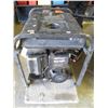 Image 1 : COLEMAN 10HP GAS GENERATOR