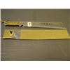 Image 1 : SILVER MACHETTE WITH GREEN CASE