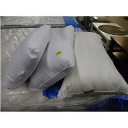 3 MISC PILLOWS