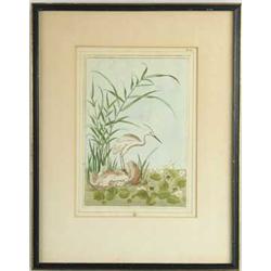 FRAMED WHITE EGRET BIRD PRINT