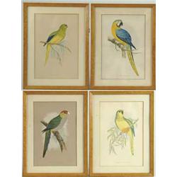 SET OF FOUR COLORFUL BIRD PRINTS
