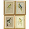 Image 1 : SET OF FOUR COLORFUL BIRD PRINTS