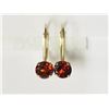Image 3 : #18-14KT YELLOW GOLD GARNET EARRINGS