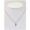 Image 1 : #47-STERLING SILVER NECKLACE WITH DIAMOND