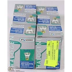 LOT OF 6 STANDARD HALOGEN 60 WATT NARROW FLOOD