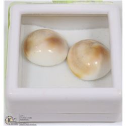 268) NATURAL SHIVA'S EYE TOTAL 20CT 2 PCS