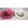 Image 1 : LOT OF 2 COWBOY HATS