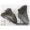 Image 1 : 2 LARGE FOSSIL MEGALODON SHARK TEETH