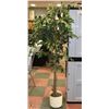 Image 1 : 6' ARTIFICIAL FLOOR PLANT