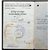 Image 3 : PALESTINE JEWISH IMMIGRATION CERTIFICATES/DOCUMENTS