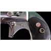 Image 9 : American Weapons Corp. Frontier Model Derringer