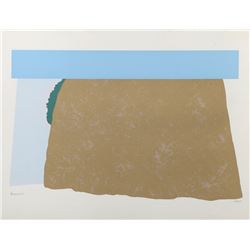 Steve Poleskie, Namayeush, Silkscreen