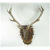 Image 1 : OUTSTANDING 19TH CENTURY CARVED WOOD STAG HEAD TROPHY MOUNT