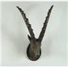 Image 1 : OUTSTANDING LARGE CARVED WOOD AND PAINTED ANTELOPE TROPHY MOUNT